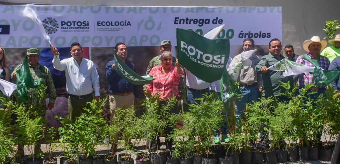 Ayuntamiento de Soledad refuerza junto al Estado campaña de reforestación