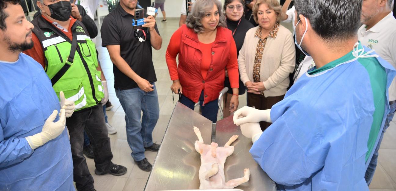 Inicia campaña de esterilización de mascotas en Soledad de Graciano Sánchez 