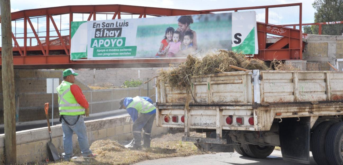 Ayuntamiento soledense realiza labores de limpieza en vías de acceso en Río Santiago