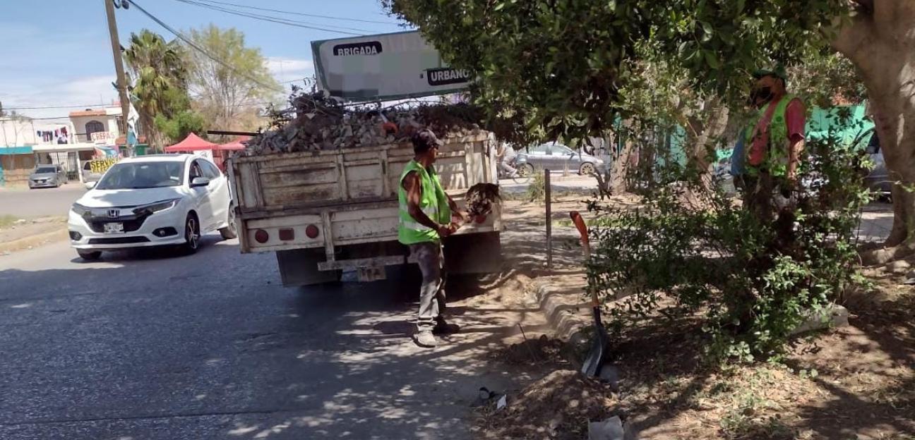Municipios de Soledad acciona brigada operativa para limpieza de carreteras y avenidas