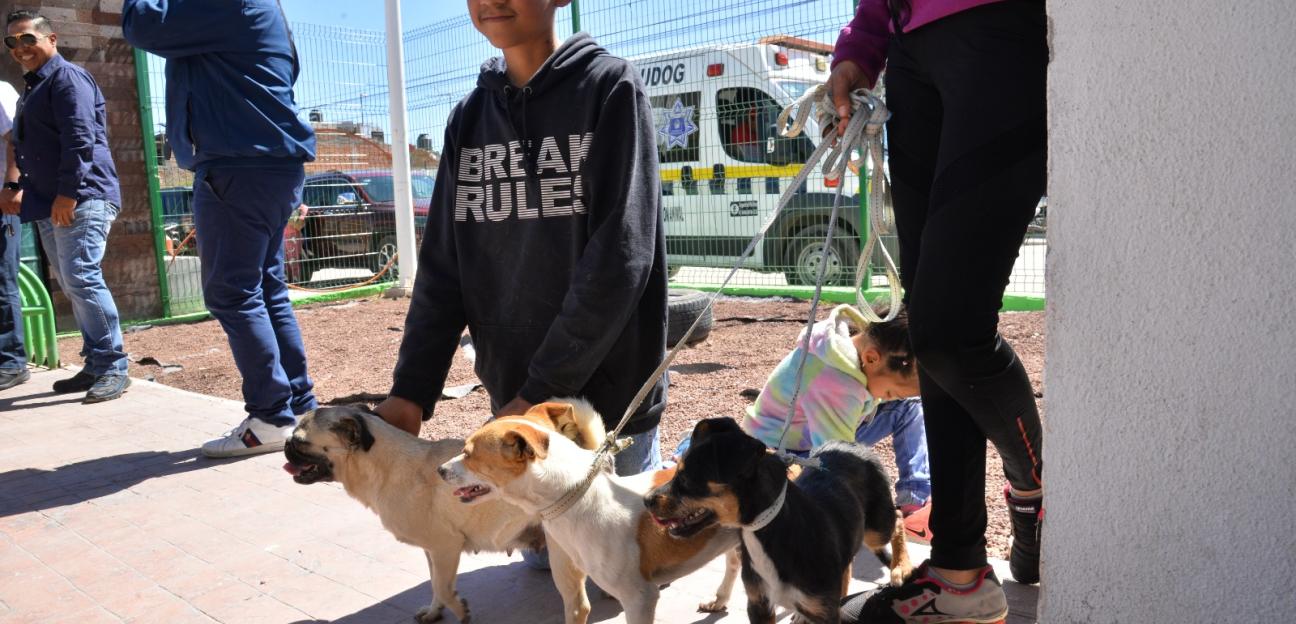 Soledad de Graciano Sánchez es ejemplo en acciones para el bienestar animal