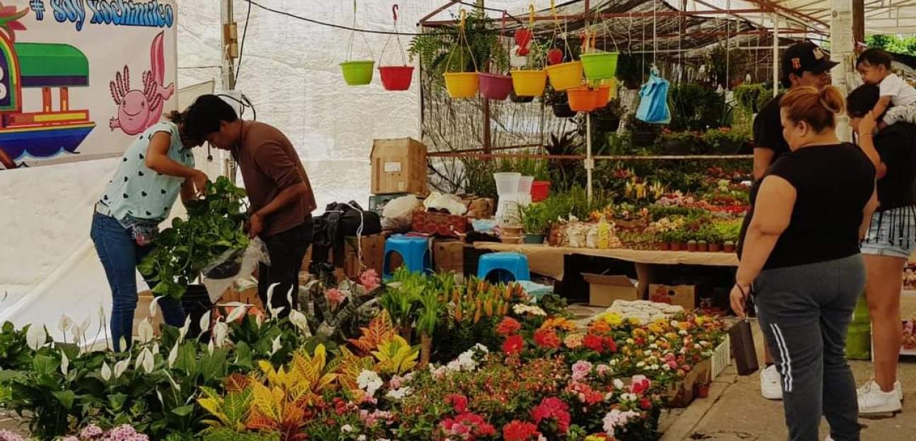 Festival de Las Flores 2024 en Soledad amplia capacidad para recibir a más expositores