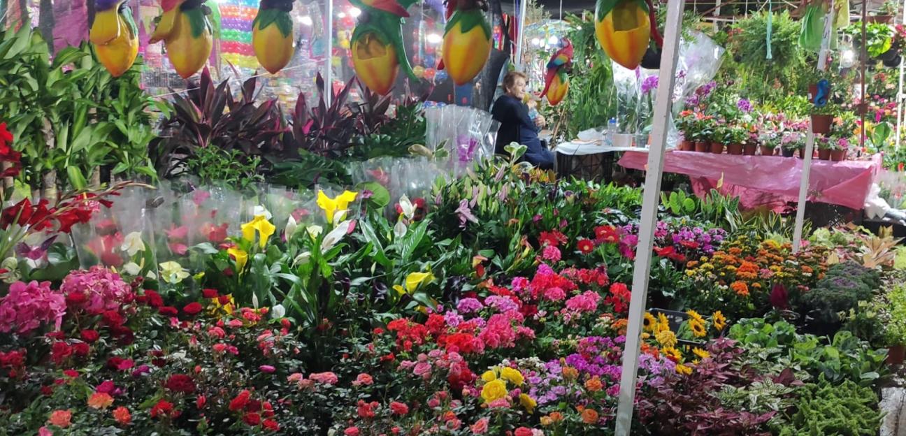 Festival de las Flores en Soledad ha superado expectativas en ventas y visitantes