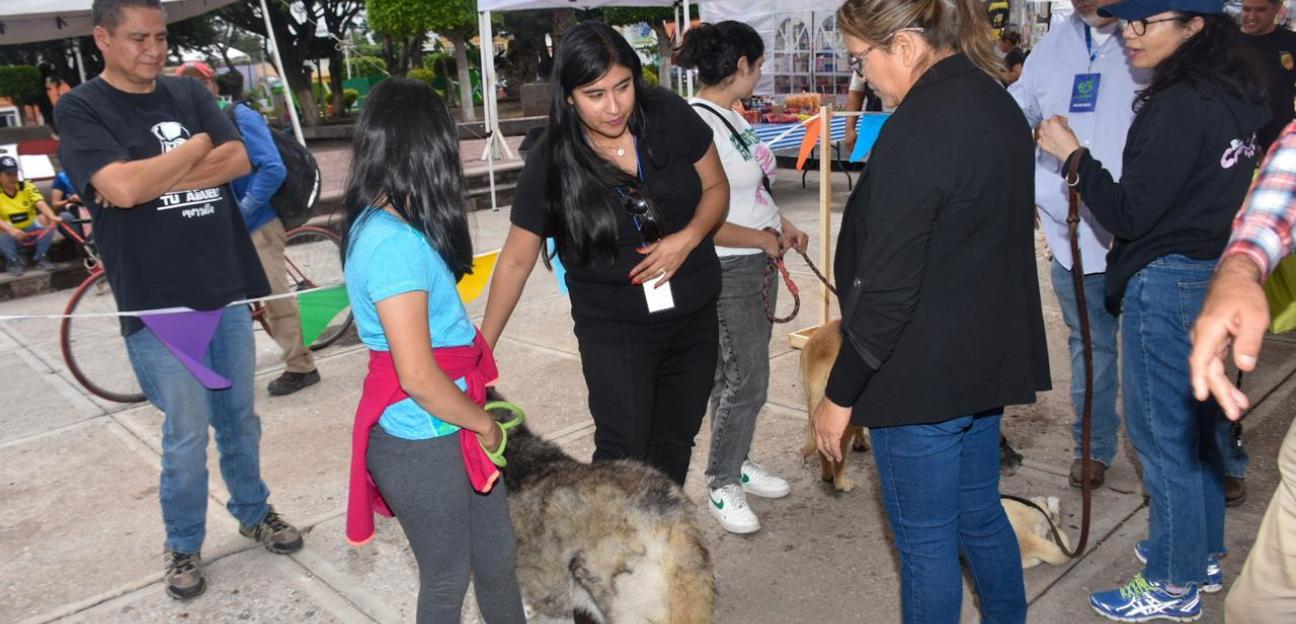 Inicia Dog Festival en Soledad, evento dedicado a amantes y protectores de perros 