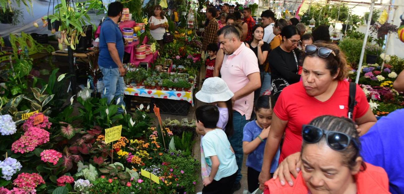 Festival de las Flores 2024 en Soledad culmina con éxito y excelente respuesta ciudadana