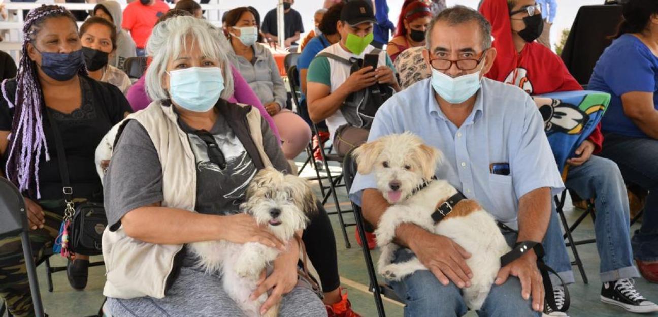 Más de 4 mil atenciones brindó Ambudog en Soledad, en los últimos tres meses